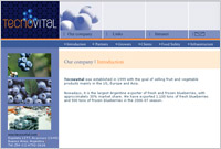 www.tecnovital.com.ar